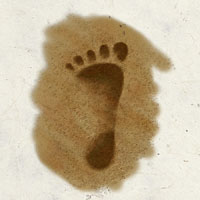 Datei:BrandobarisSymbol.jpg