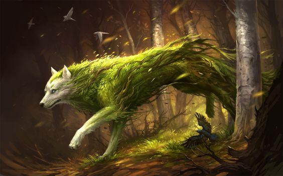 Findriel Wolfs.jpg