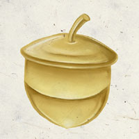 Datei:Shiallia.jpg