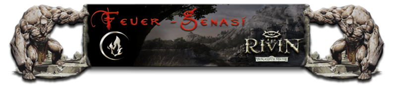 Datei:RaceBanner Ber Feuer.png