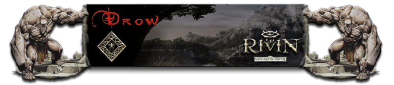 Datei:Rassenbanner Elfen Drow.png