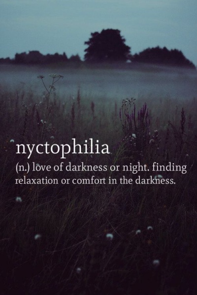 Datei:Nyctophilie.jpg