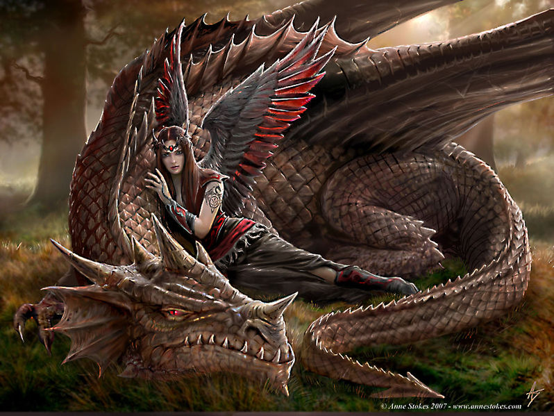 Datei:Drachen bild von nef.jpg